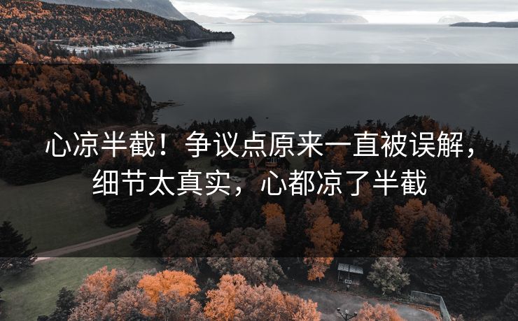 心凉半截！争议点原来一直被误解，细节太真实，心都凉了半截